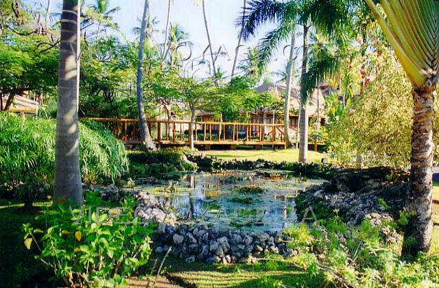 Republique Dominicaine Punta Cana Grand Palladium Palace Resort La vegetación es abundante. Vemos el puente que cruza la laguna.