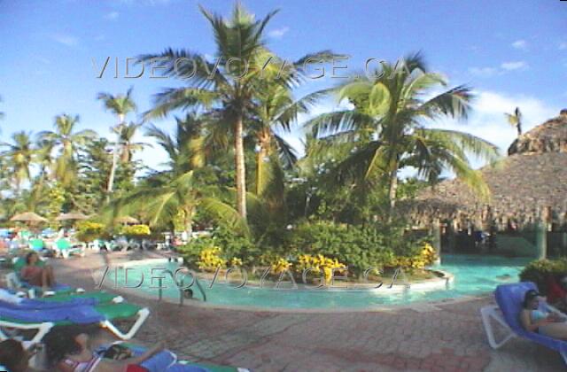 Republique Dominicaine Punta Cana Grand Palladium Bavaro Resort Un ilôt de verdure dans la piscine.