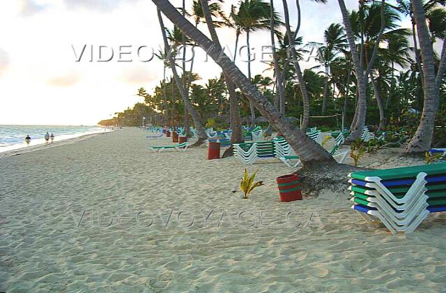 Republique Dominicaine Punta Cana Grand Palladium Bavaro Resort Les chaises longues sont en grandes quantitées le long de la plage. Mais il n'y a pas de parasols. Vous pouvez vous cacher du soleil en dessus des arbres.