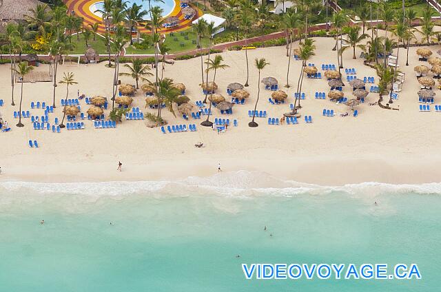 Republique Dominicaine Punta Cana Occidental Grand Punta Cana Many deckchairs, few palapas, palm trees growing on the beach ...