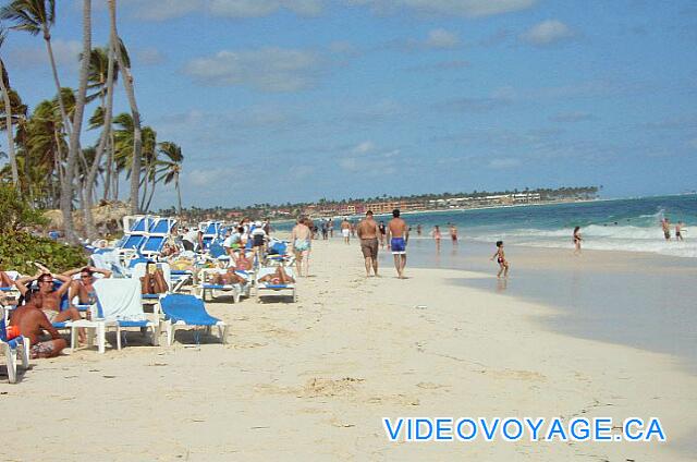 Republique Dominicaine Punta Cana Occidental Grand Punta Cana Le de chaises longues sont disponibles en grand nombre.  Les parasols sont disposés un peu en retraité.