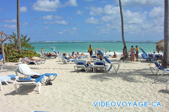 Republique Dominicaine Punta Cana Occidental Grand Punta Cana Many people prefer to sunbathe between trees and others at the shelter from the sun under a tree.