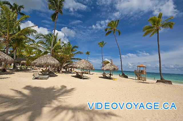 Mexique Punta Cana Grand Hotel Bavaro  Un sector con gran árbol sobre palapas.