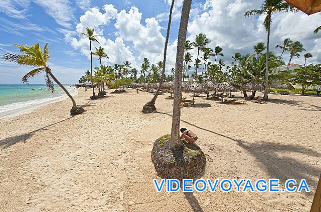 Mexique Punta Cana Grand Hotel Bavaro  Un montón de espacio en la playa libre.