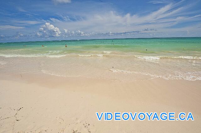 Mexique Punta Cana Grand Hotel Bavaro  Vous pouvez vous éloigné à plus de 125 mètres du bord sans nager.  Il n'y a pas d'algue dans la zone de baignade et même plus loins.