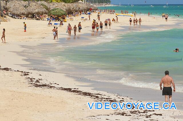 Mexique Punta Cana Grand Hotel Bavaro  Un dépot d'algue sur la plage, l'algue est systématiquement enlever le matin et pendant la journée.  Mais dans ce secteur il n'y a pas beaucoup d'algue qui se dépose sur la plage, seulement pendant les périodes de grand vent.