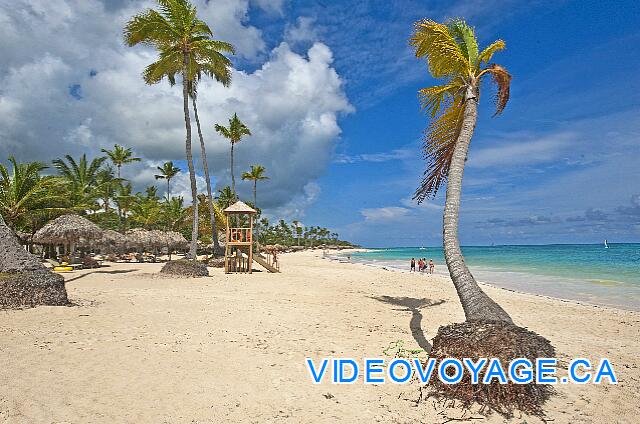 Mexique Punta Cana Grand Hotel Bavaro  Certains palmiers semblent se déraciner.