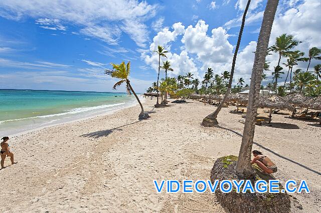 Mexique Punta Cana Grand Hotel Bavaro  The beach to the south, as beautiful ...