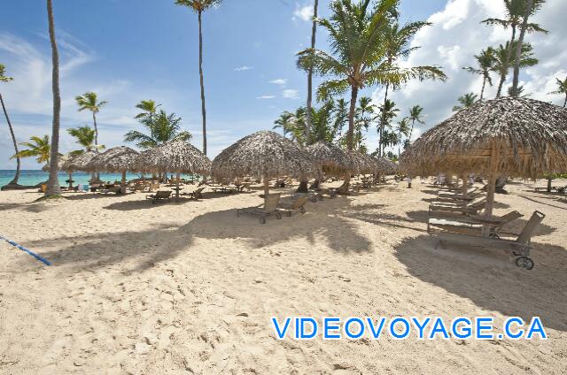 Mexique Punta Cana Grand Hotel Bavaro  Varios fila de palapas, casi tantas sillas en la playa, ya que la habitación del hotel.