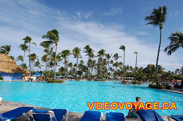 Republique Dominicaine Punta Cana Grand Paradise Bavaro Los árboles entre la piscina y la playa.