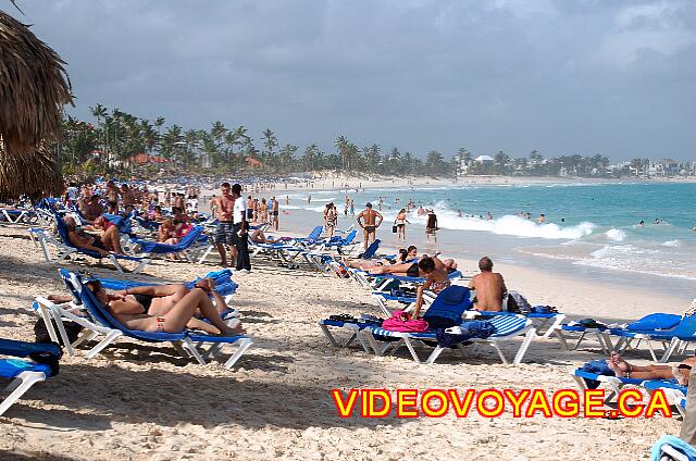 Republique Dominicaine Punta Cana Grand Paradise Bavaro En haute saison, les chaises longues peuvent être difficiles à trouver, car la populairité de la plage est élevé.