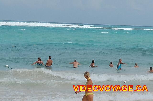 Republique Dominicaine Punta Cana Grand Paradise Bavaro Customers who see a big fish in the sea.