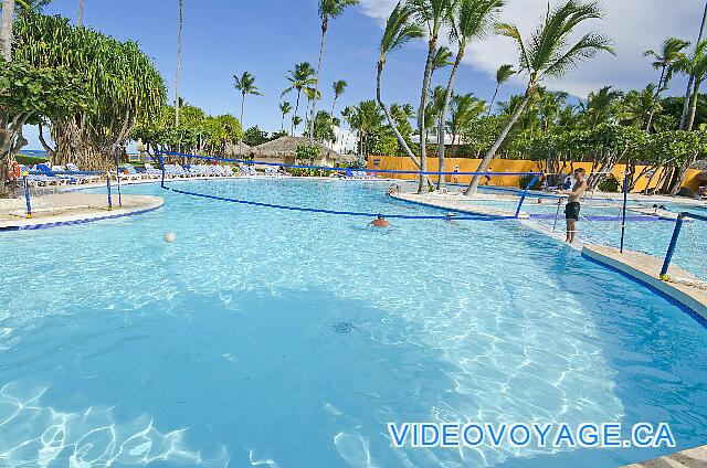République Dominicaine Punta Cana Iberostar Bavaro Des fillets de waterpolo dans la piscine.