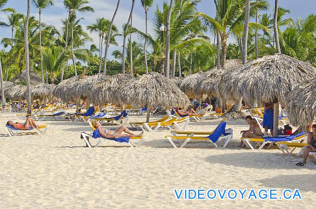 République Dominicaine Punta Cana Iberostar Bavaro El sol en la tarde se encuentra justo enfrente del mar.