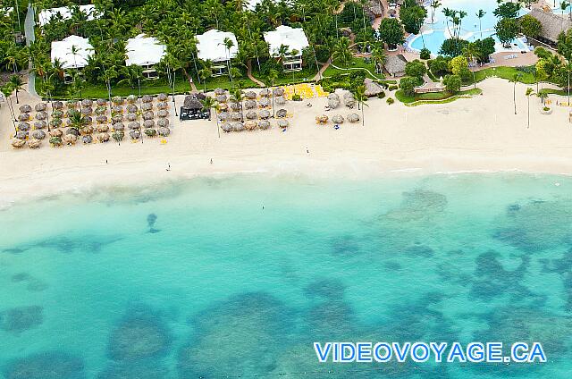 République Dominicaine Punta Cana Iberostar Bavaro Les algues sont à plus de 50 mètres du bord, les clients ne sont jamais incommodé par les algues.  Il y a peu de récif au fond de l'eau.