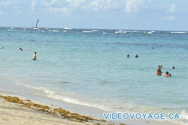 République Dominicaine Punta Cana Iberostar Bavaro Aquí, algunos clientes son más de 60 metros de distancia. El arrecife es visible aquí atrás.