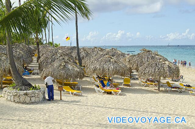 République Dominicaine Punta Cana Iberostar Bavaro Seguridad en la playa