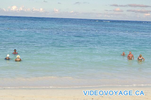 République Dominicaine Punta Cana Iberostar Bavaro La playa del hotel es largo, no hay muchas gemas de agrupación en el mar. Ideal para aquellos que disfrutan de la tranquilidad y el espacio.