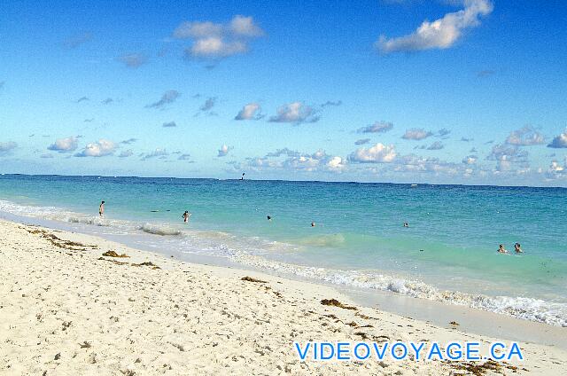 République Dominicaine Punta Cana Iberostar Dominicana/Punta Cana La mer avec des vagues petites à moyennes, pas d'algues dans la zone de baignade, mais de l'algue de 75 à 100 mètres du bord.