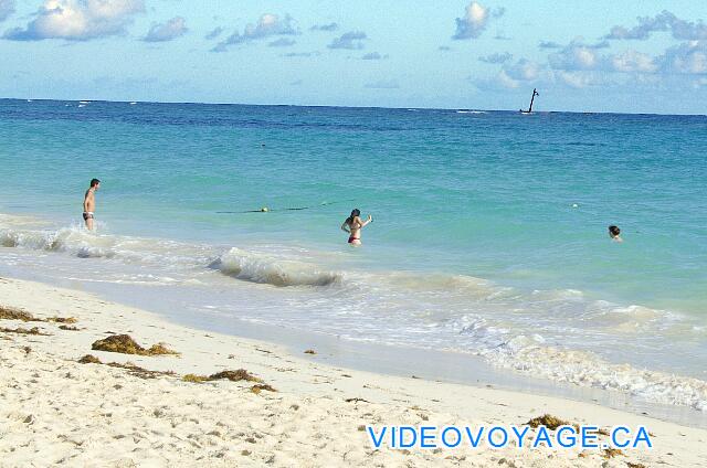 République Dominicaine Punta Cana Iberostar Dominicana/Punta Cana Une pente faible à moyenne pour entrer dans l'eau.