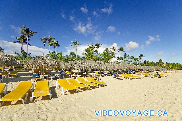 République Dominicaine Punta Cana Iberostar Dominicana/Punta Cana De nombreuses chaises longues et palapas, la végétation sur le bord de la plage.