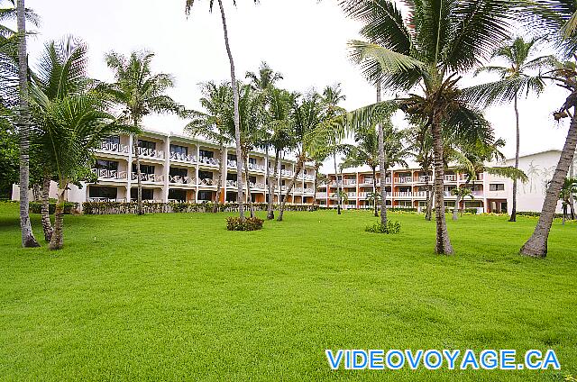 Republique Dominicaine Punta Cana VIK Hotel Arena Blanca Quelques arbres sans plus