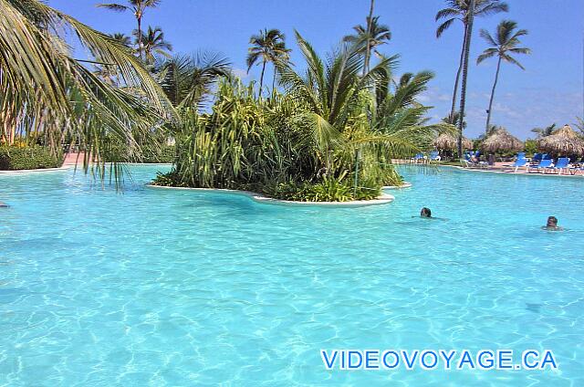 Republique Dominicaine Punta Cana VIK Hotel Arena Blanca The green islands in the pool