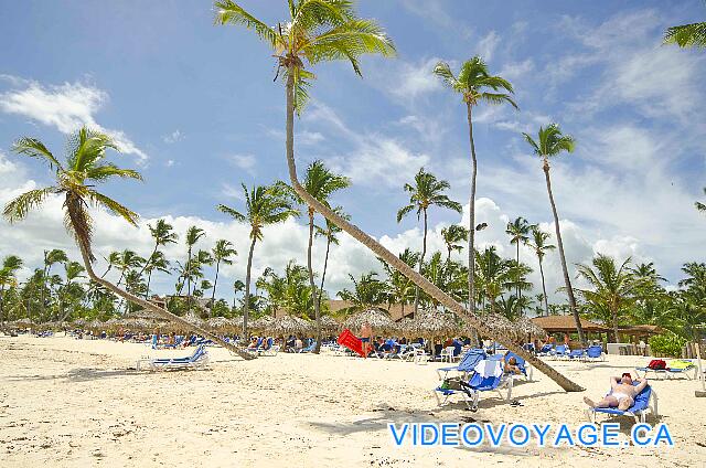 Republique Dominicaine Punta Cana VIK Hotel Arena Blanca Les palapas de l'autre coté