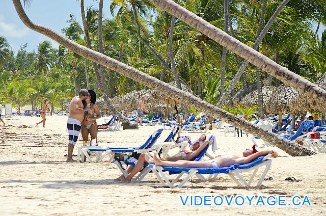 Republique Dominicaine Punta Cana VIK Hotel Arena Blanca Certains préfèrent avancer les chaises longues plus près de la mer pour ne pas avoir d'ombre en après-midi, le soleil étant en arrière d'eux en fin d'après midi.