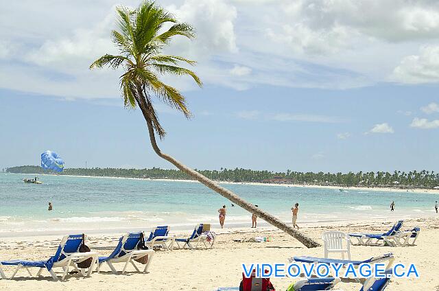 Republique Dominicaine Punta Cana VIK Hotel Arena Blanca Un autre...