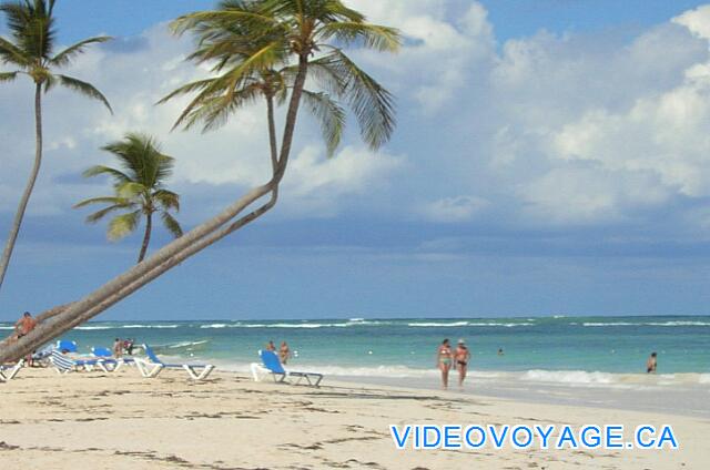 Republique Dominicaine Punta Cana VIK Hotel Arena Blanca Las palmeras sumiendo a la playa.