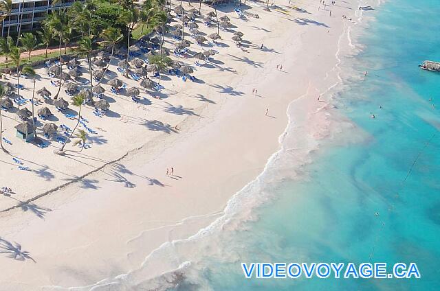 Republique Dominicaine Punta Cana VIK Hotel Arena Blanca El sol en la tarde, a la sombra de las palmeras en la hermosa playa.