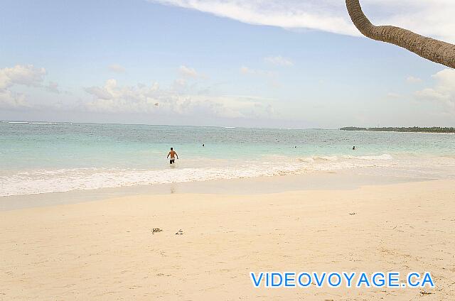 Republique Dominicaine Punta Cana VIK Hotel Arena Blanca El mar de color turquesa