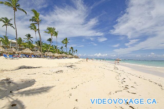 Republique Dominicaine Punta Cana VIK Hotel Arena Blanca La playa con una pendiente suave para ir al mar.