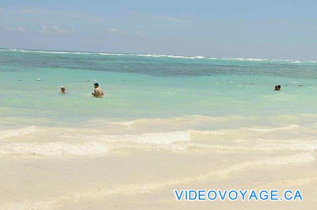 Republique Dominicaine Punta Cana VIK Hotel Arena Blanca Alga marina se encuentra en el otro lado de la zona de baño. Durante período de viento, que puede llegar allí un poco de algas flotando en el agua, pero no más, porque esto no es un área con una gran cantidad de algas.