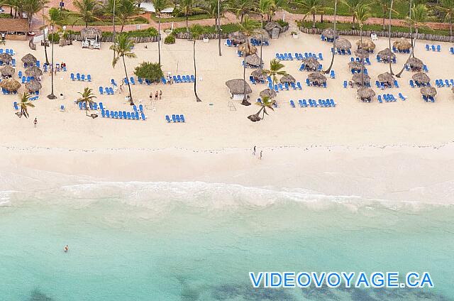 Republique Dominicaine Punta Cana VIK Hotel Arena Blanca La zone baignable délimité par les flotteurs, une eau translucide, quelques palmiers qui poussent sur la plage.