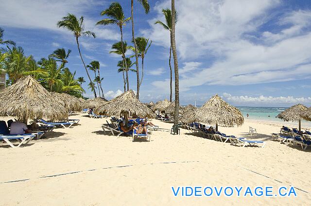 Republique Dominicaine Punta Cana VIK Hotel Arena Blanca Il y a des arbres sur la plage, mais en nombre insuffisant pour créé assez d'ombre.