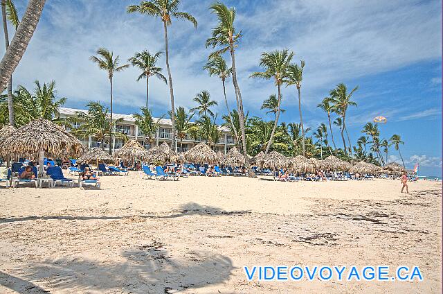 Republique Dominicaine Punta Cana VIK Hotel Arena Blanca Les nombreux palapas et chaises longues sur la plage...