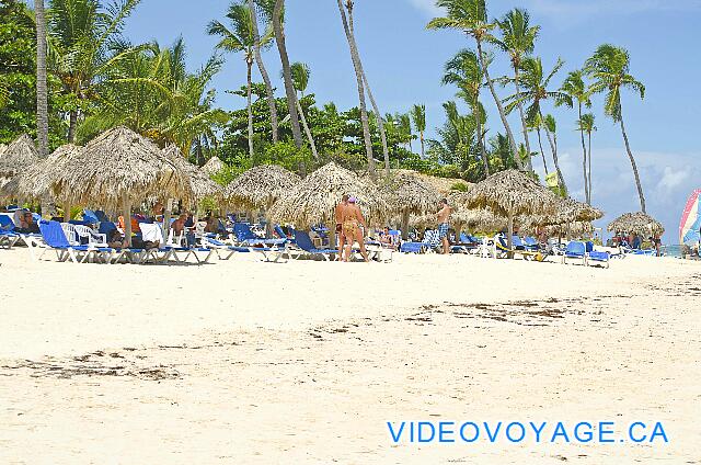 Republique Dominicaine Punta Cana VIK Hotel Arena Blanca De plus près