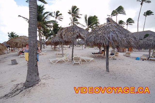 Republique Dominicaine Punta Cana Majestic Colonial Punta Cana A small slope to the beach. To may umbrellas on the beach. The chairs in smaller quantities.