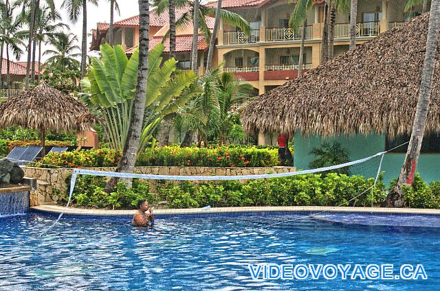 République Dominicaine Punta Cana Majestic Elegance Voleibol en la piscina