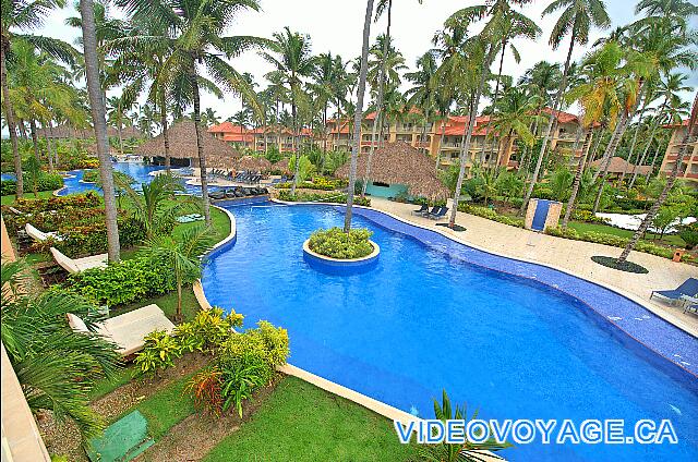 République Dominicaine Punta Cana Majestic Elegance Cerca de un lado del edificio, tumbonas fuera de las habitaciones de la planta baja, arbustos separan el campo de cada habitación para más privacidad.