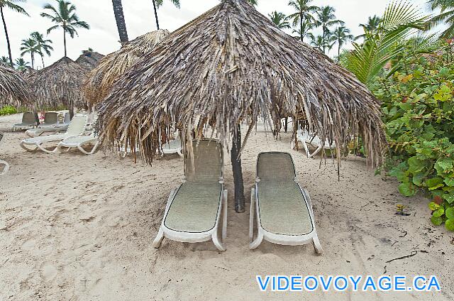 République Dominicaine Punta Cana Majestic Elegance Sun loungers under palapas.