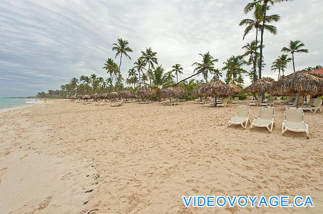 République Dominicaine Punta Cana Majestic Elegance To the south, it is possible to walk for hours on the beach ... There is a market within two kilometers of the beach.