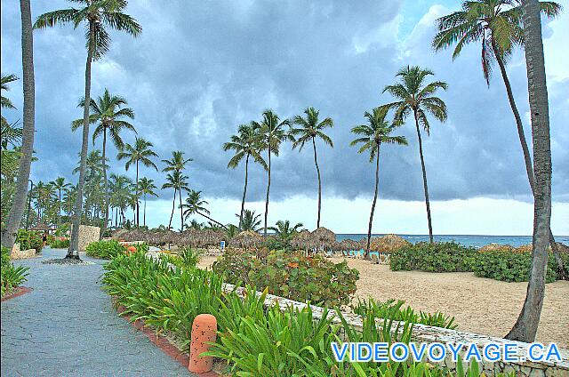 République Dominicaine Punta Cana Majestic Elegance A path runs along the beach ...