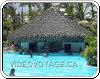 Bar Piscine / Pool Caribe de l'hôtel Melia Caribe Tropical en Punta Cana Republique Dominicaine