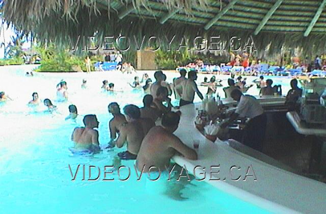 Republique Dominicaine Punta Cana Melia Caribe Tropical Beber sentó en la piscina viendo la animación en un clima cálido, por qué no!