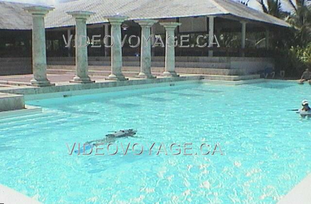 Republique Dominicaine Punta Cana Melia Caribe Tropical La piscina de uno de los centro de deportes acuáticos. Esta piscina se utiliza para clases de buceo. En el fondo vemos un restaurante buffet.