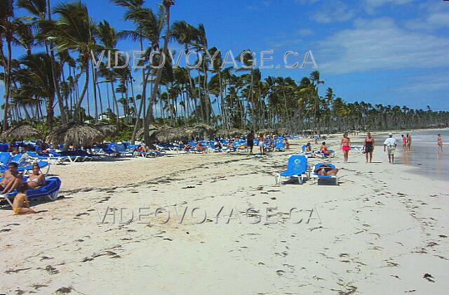 Republique Dominicaine Punta Cana Melia Caribe Tropical La plage est assez profonde.  Des parasols sont disponibles le long de la plage. Les chaises sont recouvertes de tissus, ce qui est plus confortable.