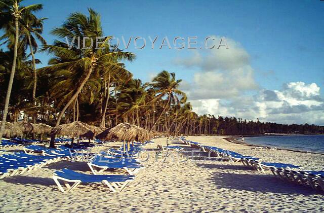 Republique Dominicaine Punta Cana Melia Caribe Tropical La playa de la mañana. Las sillas están entonces todos alineados.